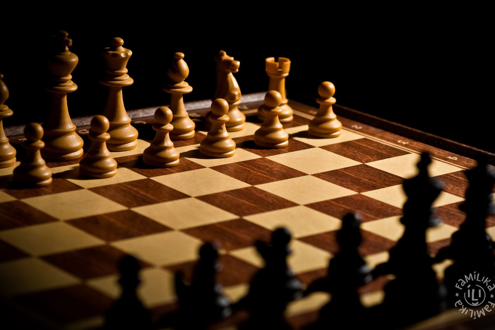 Ajedrezonline - El ajedrez es todo; arte, ciencia y deporte